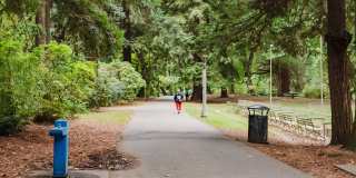 2121 Belmont Gallery 45