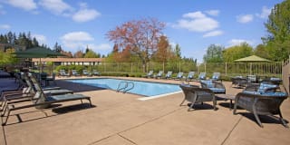 Echo Lake Gallery 23