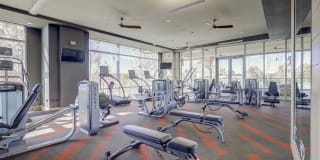 Gables Park Tower Gallery 16