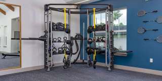 Palmhouse Gallery 16