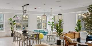 Mily on Green Gallery 5