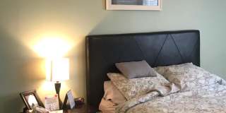 2373 Grand Fir Dr Gallery 13