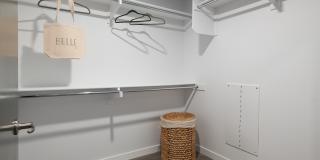 Belle on Bev Belle on Bev Gallery 8