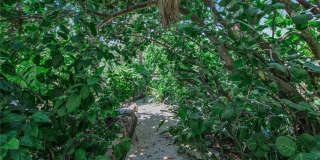 6979 LONGBOAT DRIVE S Gallery 36