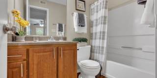 Turtle Lake Gallery 10