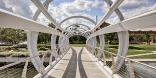 Insignia On M Gallery 44