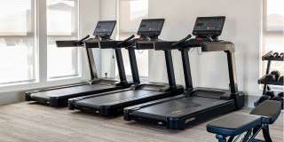 The Nexus at Bella Vista Gallery 25