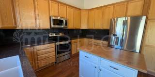 Beautiful 5-Bedroom Home Featuring Pikes Peak Views, Finished Basement & Private Backyard Gallery 4