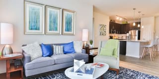 Olympus Steelyard Gallery 16