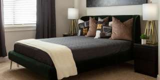 Esplanade District Apartments Gallery 9
