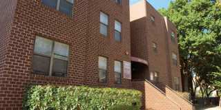 Geno Baroni Gallery 28