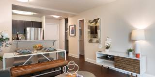 Modern on M Gallery 47