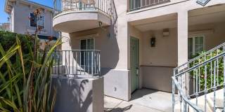 Newly renovated downstairs 1 bedroom 1 bath. Gallery 20