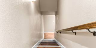 10001 Panther Way Gallery 10