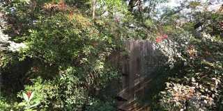 4409 Twisted Tree Dr Gallery 31