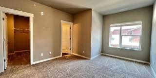 Mangold831 (KC-LN) Gallery 29