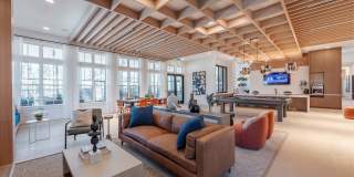 Alta Citron Gallery 29