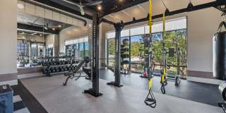 Arcadia Luxury Apartments Gallery 10