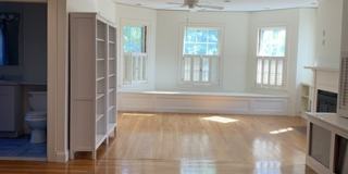 41 Linnaean Street Gallery 7