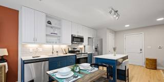 Trella Uptown Gallery 17