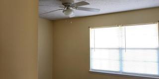 181 Treasure Palm Drive Gallery 3