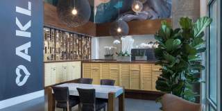 Alexan Webster Gallery 9