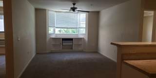 Two Parking, Window AC, Washer and Dryer Gallery 6