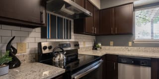 Canopy on Central Gallery 16