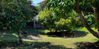 882 Kupulau Dr (Studio) Gallery 1