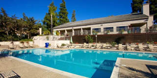 *Spacious 1 Bedroom in La Jolla!* *Spacious 1 Bedroom in La Jolla!* Gallery 1