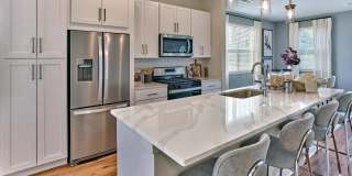 Summerhill Gallery 25