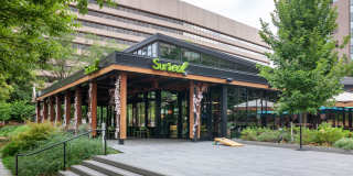 Crystal Place Gallery 2