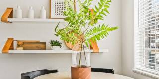 The Soleil Gallery 20