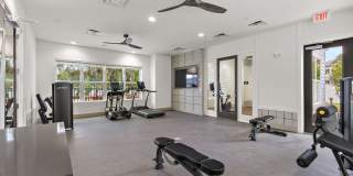 Magnolia at Powell Gallery 33