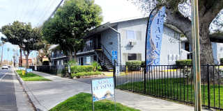 Golden Oaks Gallery 3