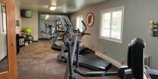 Springtree Gallery 18