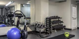 Pearson Square Gallery 11