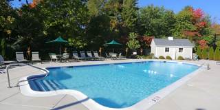 Hampshire Gallery 16