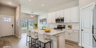 HAMMOND PLAN Gallery 1