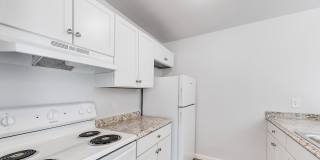 Aspen Flatz Gallery 13