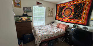 4 Bedroom 2.5 Bath Gallery 9