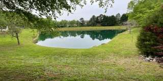 239 Bridford Downs Gallery 9