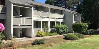Madrona Place Gallery 13