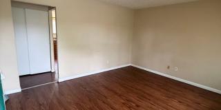 Large 3 bedroom 1 bath Gallery 1