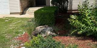 *NEW LISTING* 3 bedroom, 2 bathroom, 2 car garage home in Hollister Gallery 1