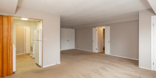 Almar Arms Gallery 5