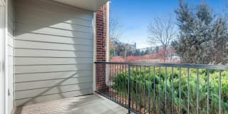 Lowry Park Gallery 11