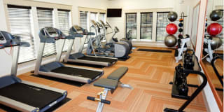 Anatole on MacArthur Gallery 21