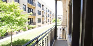 Maple Court Gallery 19