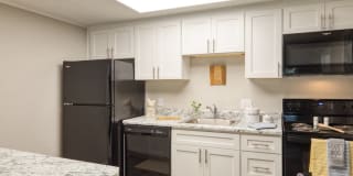 Sea Pines Gallery 11